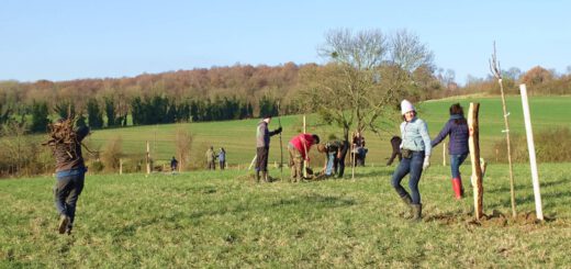Pflanzaktion auf der Streuobstwiese Lemierser berg 2023