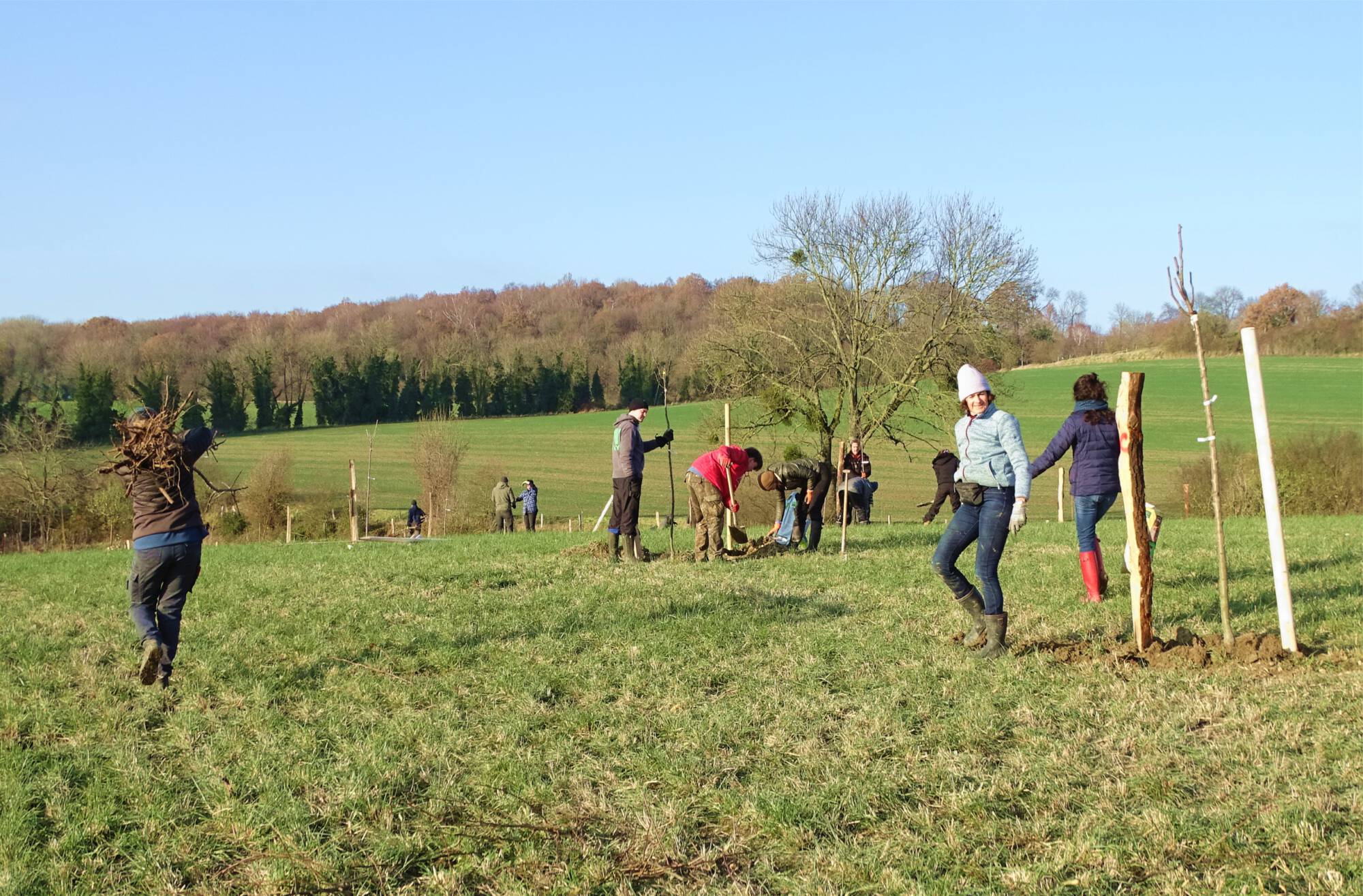 Pflanzaktion auf der Streuobstwiese Lemierser berg 2023